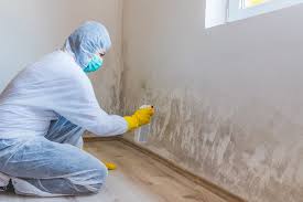  Saltville, VA Mold Removal Pros